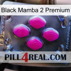 Black Mamba 2 Premium 02